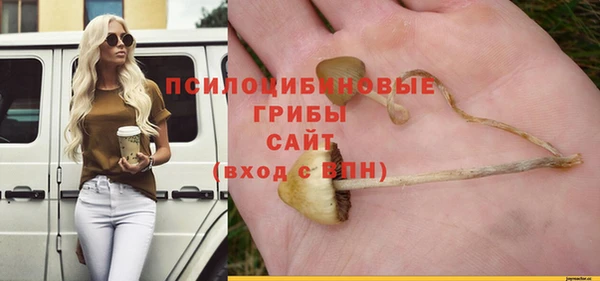 дурь Абаза