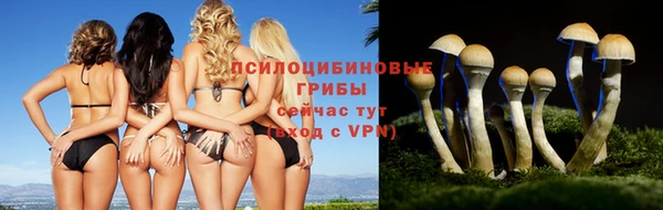 ALPHA PVP Абинск