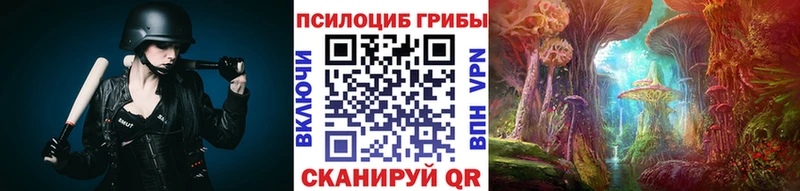 Галлюциногенные грибы Psilocybine cubensis  Белоусово 
